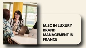 luxury brand management